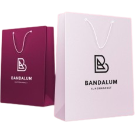 Best Quality Branded custom A4 Gift Paper Bag Design and Printing in Lagos Nigeria