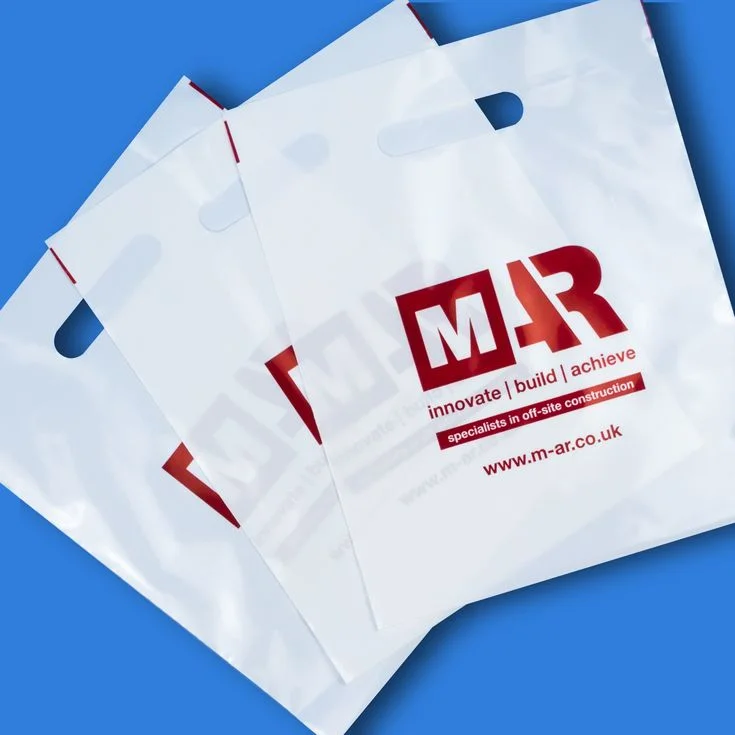 Nylon Shopping Bag Print - High Quality Digital Printing Services Lagos Nigeria Nylon Shopping Bag - Professional Nylon Shopping Bag Services in Lagos Nigeria